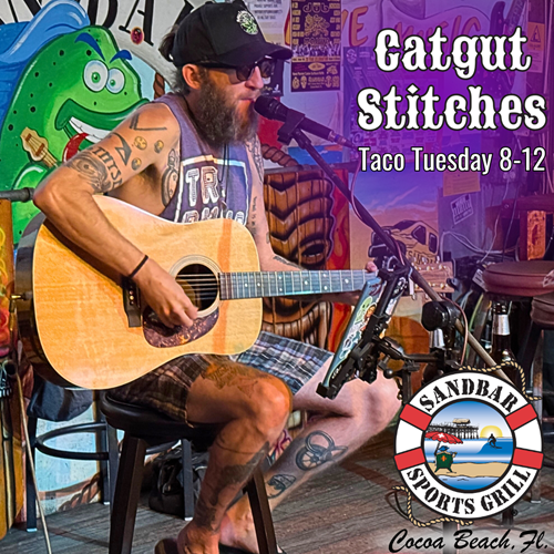 Vince Catgut Stitches performing on guitar