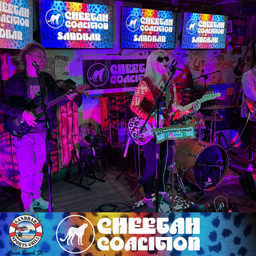 Cheetah Coalition on the Sandbar stage